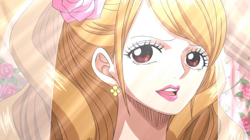 one-piece-episode-829-vf-streaming